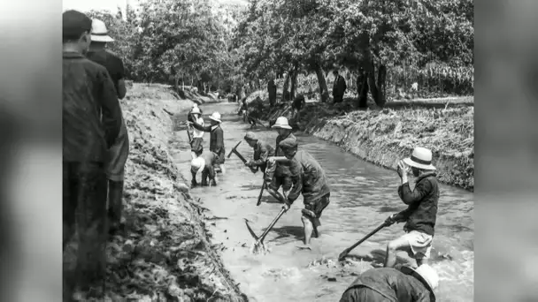 Histoire : quand des Vietnamiens travaillaient de force au coeur du Périgord