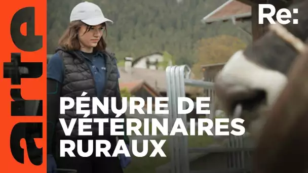 Agriculteur cherche vétérinaire | Reportage | ARTE Regards