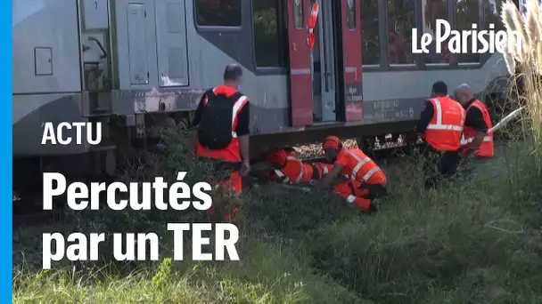 Accident de TER à Saint-Jean-de-Luz : "Les quatre personnes étaient allongées sur la voie"