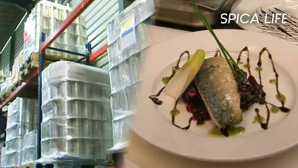 Fait maison : Enquête sur la mascarade des restaurants