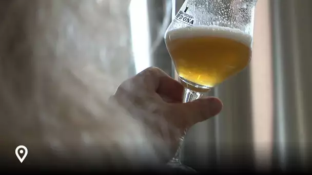 Aquí Sem : Argelès-sur-Mer, la bière catalane élue meilleure bière du monde