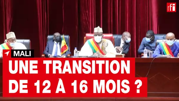 Mali : les autorités de transition adoptent une nouvelle charte • RFI