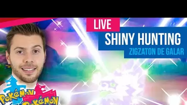 Shiny Hunting - Pokémon Epée & Bouclier - Zigzaton de Galar