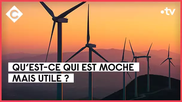 Éoliennes, un mal pour un bien ? - L’édito de Patrick Cohen - C à vous - 22/09/2022