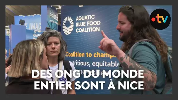 Unoc 2025 : des ONG du monde entier sont à Nice pour sensibiliser à la protection des océans