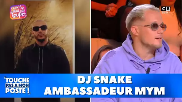 TPMP Rewind : DJ Snake devient l'ambassadeur de MYM, Britney Spears pète les plombs...