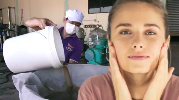 Huile de coco : ce qui se cache dans l'élixir de beauté
