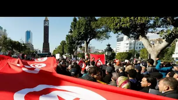 Journée de manifestations pour les 11 ans de la révolution tunisienne • FRANCE 24