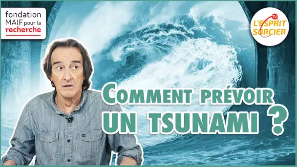 Comment prévenir les séismes et tsunamis ? - L'Esprit Sorcier