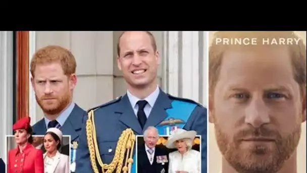 La rumeur du prince Harry "propagée par un ami de la famille royale" démystifiée dans un nouveau