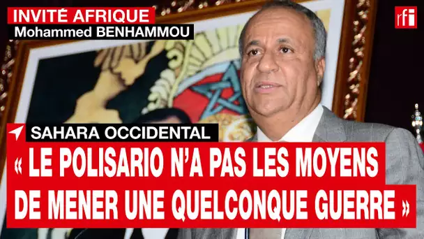 Sahara occidental : « le Polisario n’a pas les moyens de mener une quelconque guerre »