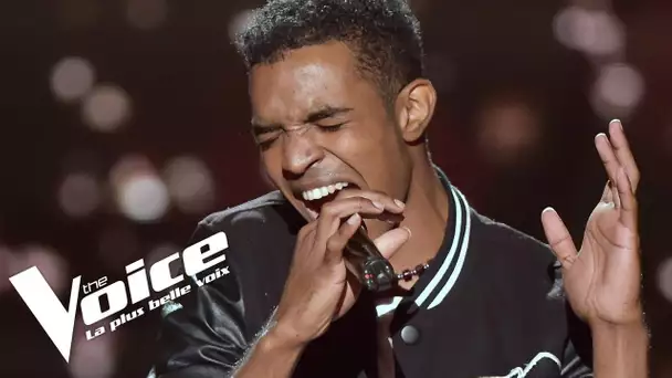 Avicii (Addicted to you) | Winael | The Voice France 2018 | Blind Audition