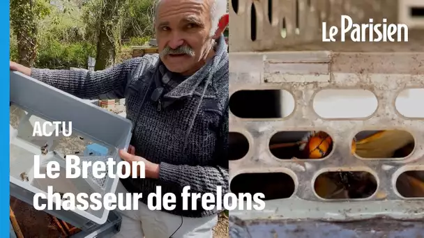 Cet apiculteur breton a inventé un piège à frelons asiatiques révolutionnaire