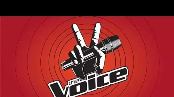 The Voice : une chanteuse française très connue aux auditions à l’aveugle ! Surprise !