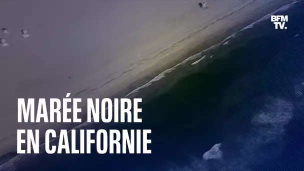 Une marée noire touche le sud de la Californie