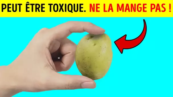 Peut-On Manger Les Pommes De Terre Vertes ? Oui, Mais En Faisant Attention