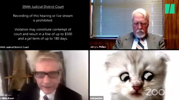 Pendant un procès Zoom, un avocat ne sait plus comment retirer le filtre de chat qu'il a activé