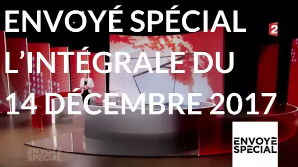 "Envoyé spécial" du jeudi 14 décembre 2017 (France 2)