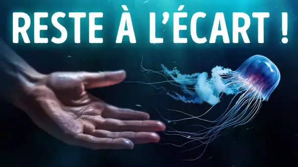 Si tu Remarques ça Dans l’eau, Éloigne-toi Vite !