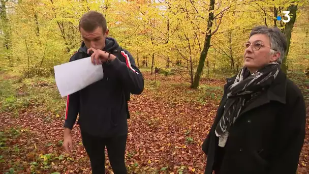 Un projet de forêt cinéraire dans une petite commune de Haute-Saône