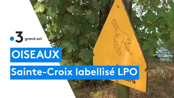 Le parc animalier de Sainte-Croix labellisé LPO