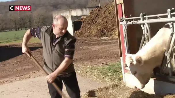 Saône-et-Loire : plus d'un tiers des agriculteurs sont en burn-out