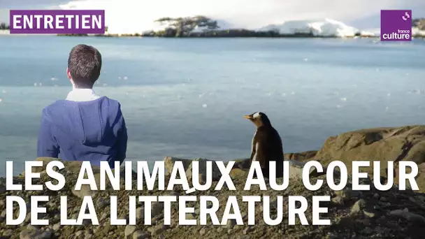 Littérature : des livres, des animaux et des hommes