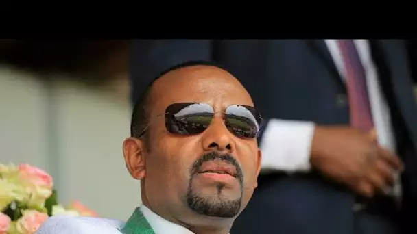 Éthiopie : une alliance rebelle se forme contre le gouvernement fédéral • FRANCE 24