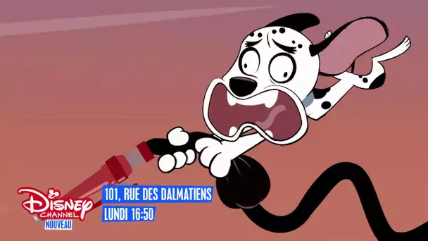 101, rue des Dalmatiens - A partir de lundi, 16h50 sur Disney Channel !