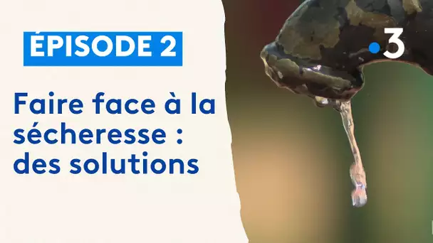 Des solutions pour faire face à la sécheresse