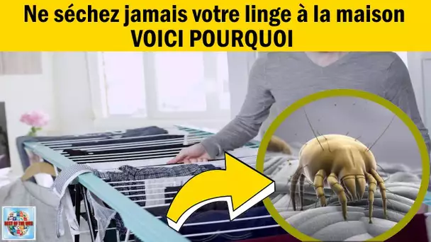 Ne séchez jamais votre linge à la maison je vous explique pourquoi