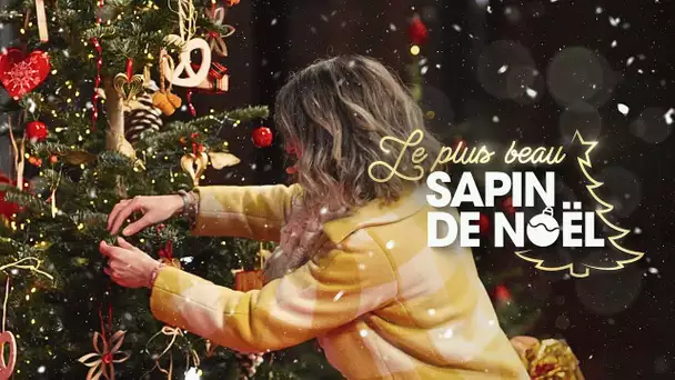 Le plus beau sapin de Noël : découvrez le concours de décoration de sapin de Noël