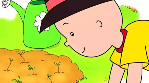 Caillou en Français | Caillou fait du Compost | 514 | dessin animé | NOUVEL ÉPISODE HD