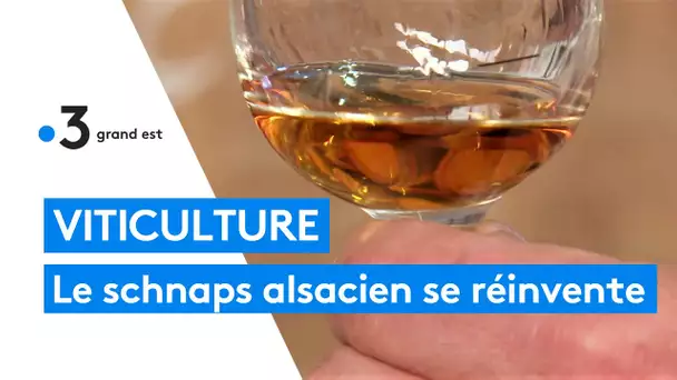 Eaux-de-vie de fruits : comment se réinvente le schnaps d'Alsace