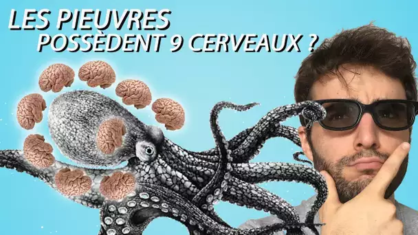 LES PIEUVRES POSSÈDENT 9 CERVEAUX ? Vrai ou Faux #17