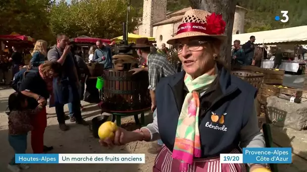 Hautes-Alpes : le marche aux fruits anciens d'Orpierre fête ses 20 ans