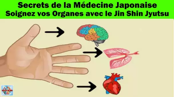Vos doigts sont liés à vos organes - Soignez vos maladies avec cette méthode japonaise