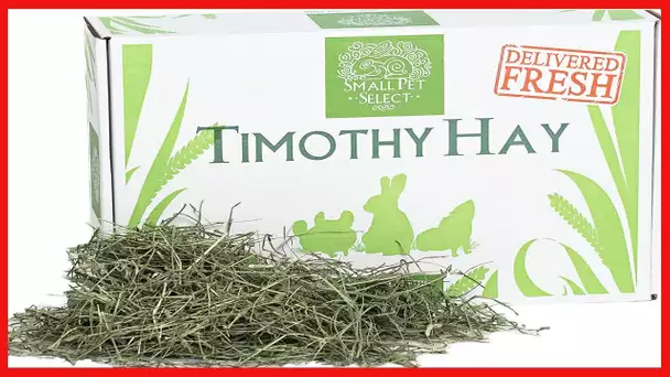 Small Pet Select 2nd Cutting Timothy Hay Pet Food, 10-Pound