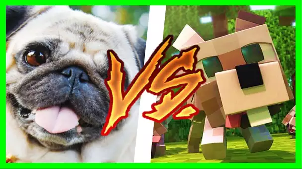 MINECRAFT VS LA VRAIE VIE 10