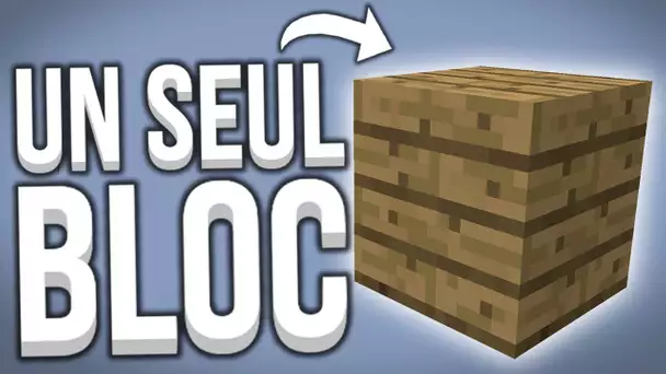 MINECRAFT AVEC UN SEUL BLOC ?!