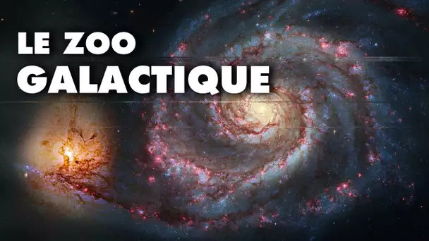 L’incroyable bestiaire galactique