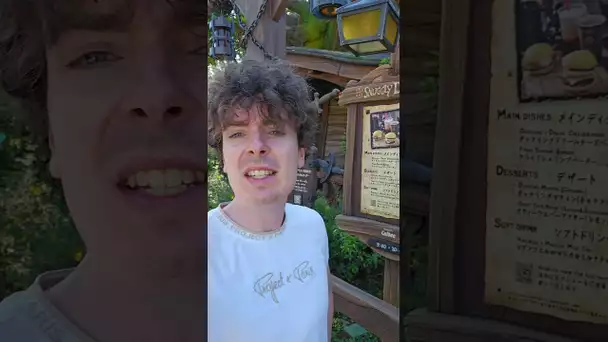 Fantasy Springs, la nouvelle zone à Tokyo DisneySea