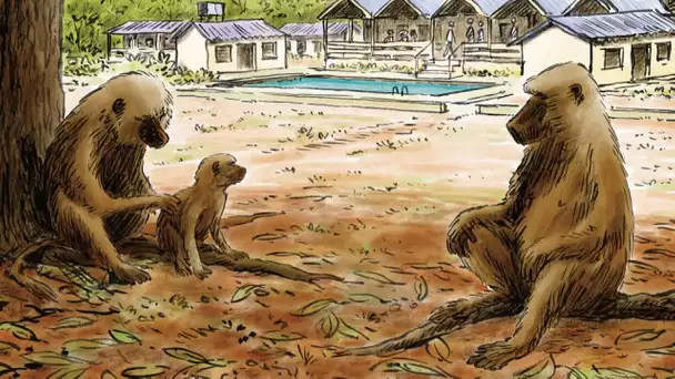 BD, Troubs le dessinateur-voyageur