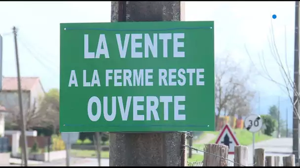 Coronavirus : vente directe chez les maraîchers d Ariège