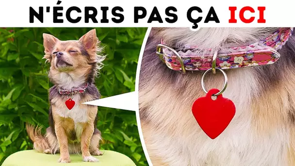 Ne laisse jamais quelqu'un prendre une photo de ton chien