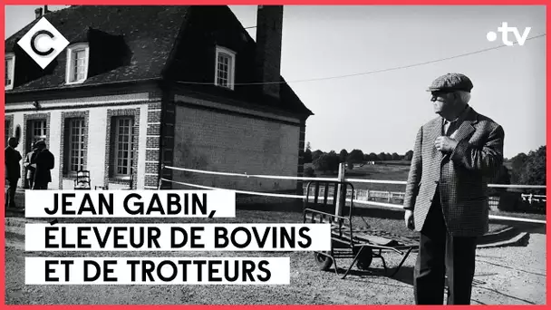 Gabin : T’as de belles bêtes, tu sais - L’Oeil de Pierre Lescure - C à Vous - 24/02/2023