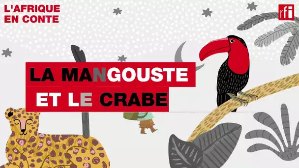La mangouste et le crabe• L'Afrique en conte •  RFI