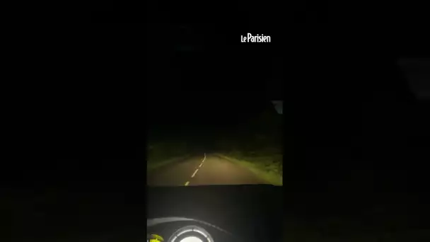Oise : des jeunes piègent des voitures en posant un panda en peluche sur la route