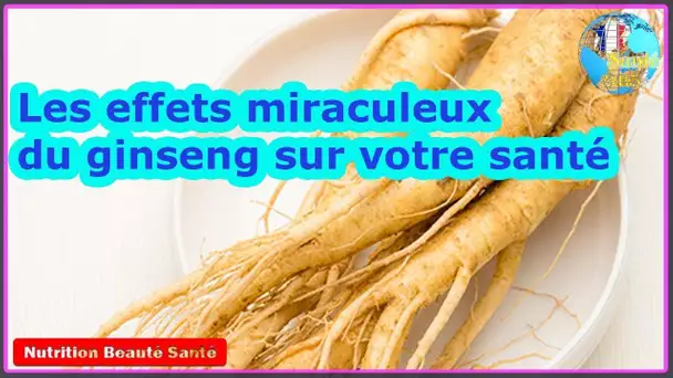 Les effets miraculeux du ginseng sur votre santé|Nutrition Beauté Santé