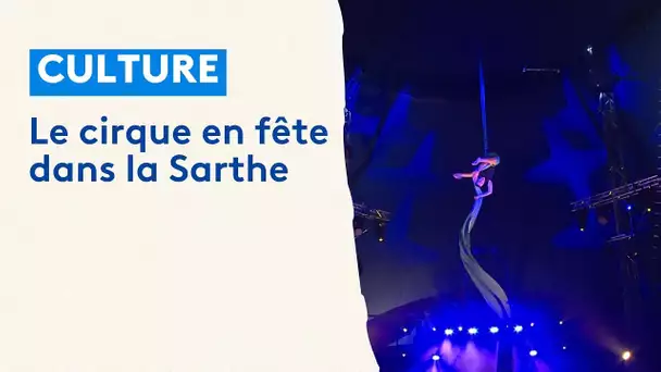 Sarthe : le cirque en fête à Marolles-les-Braults